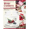 Courtside Market Santas Sleigh Winter Cranberry 18oz Soy Wax Candle Glass Jar & Lid - 3 of 3
