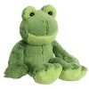 Aurora® Flopsie™ Fernando the Frog 12 Inch Stuffed Animal Plush - 2 of 4