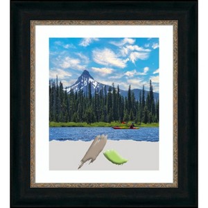 Amanti Art Paragon Bronze Picture Frame - 1 of 4