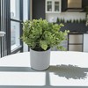 Unique Bargains Artificial Plants Plastic Green 3.54"x3.54"x5.91" 1 Pcs - 2 of 4