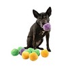 Midlee Squeaky and Crinkley Plush Dog Balls (Refill for Midlee Hide a Ball) - 3 of 4