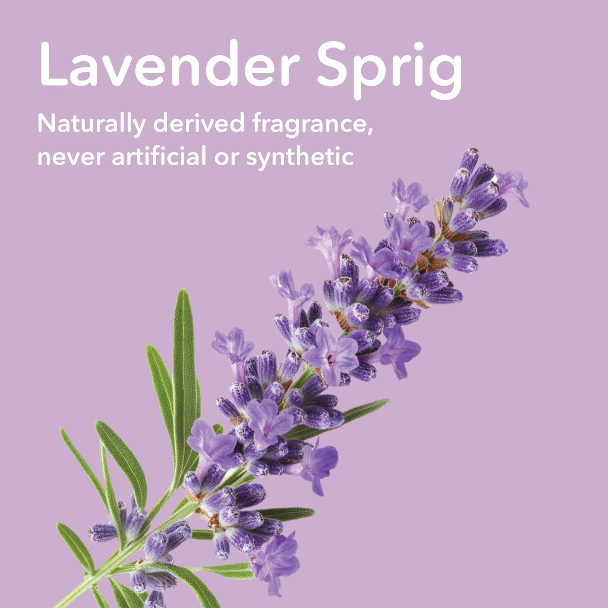 Dionis Goat Milk Baby Care Bundle Lavender Sprig, 3 Pk - thumbnail 9