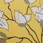 yellow-magnolia