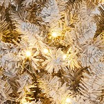 9ft (partial facelift, temporarily off the shelves)