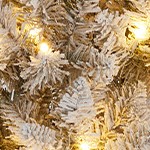 7.5ft (partial facelift, temporarily off the shelves)