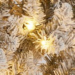 6ft (partial facelift, temporarily off the shelves)