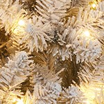 12ft (1 facelift, temporarily off the shelves)