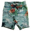 P.S. from Aeropostale Little Boy's 2-Piece Rashguard Swim Sets - 3 of 3