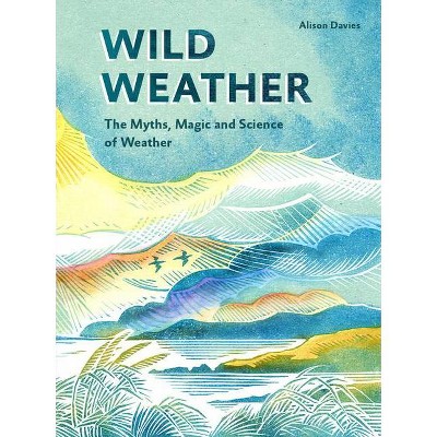 Wild Weather - by  Alison Davies (Hardcover)