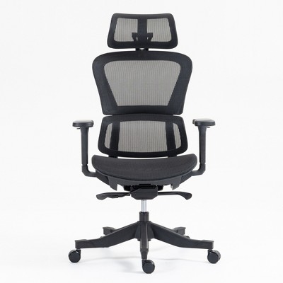 Dolonm Ergonomic Home Office Chair with Adjustable Lumbar & Headrest - Breathable Mesh Back, 4D Armrests, 90°-120° Recline