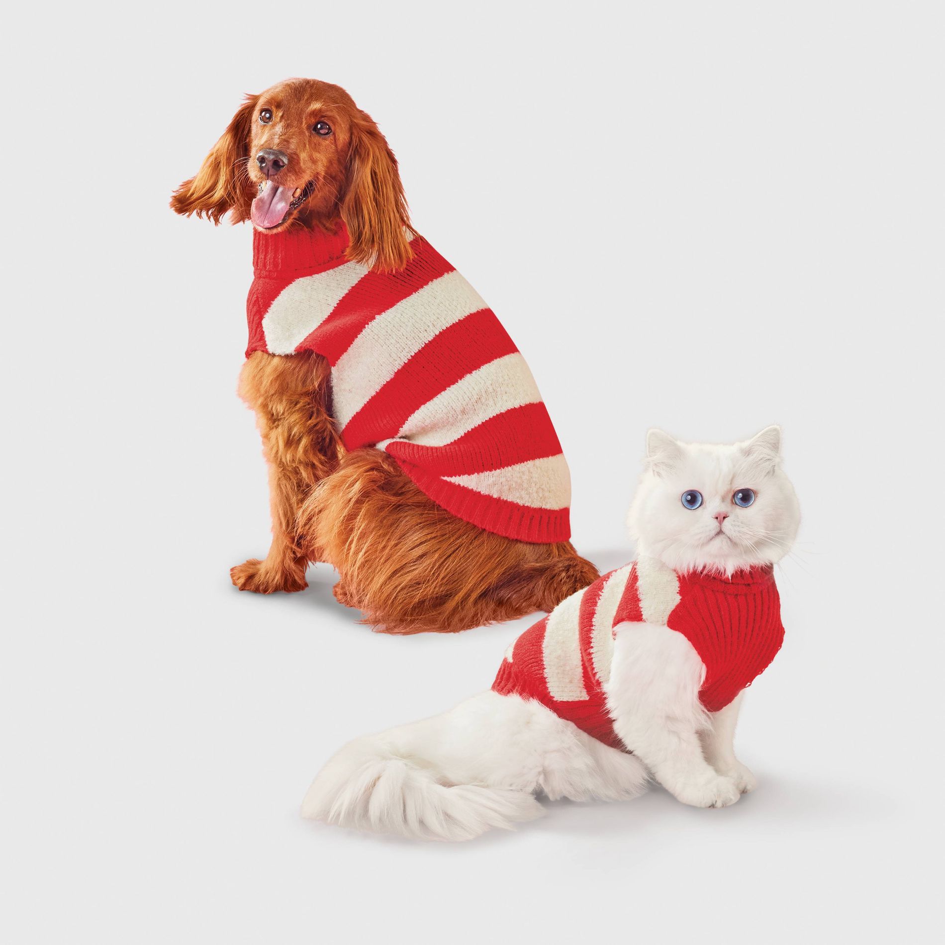 Geo Stripe Boucle Pet Sweater - Boots & Barkley™