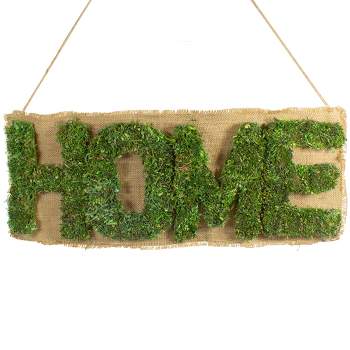 Northlight 24" Cozy Brown and Green “Home” Hanging Wall Decoration