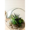 Circular Glass Display Table with Metal Frame by Kalalou - 3 of 3