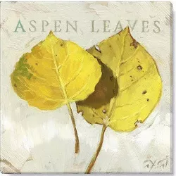 Sullivans Darren Gygi Aspen Leaves Canvas, Museum Quality Giclee Print, Gallery Wrapped, Handcrafted in USA