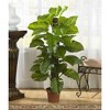 Nearly Natural 52-in Large Leaf Philodendron Silk Plant (Real Touch) - 2 of 2