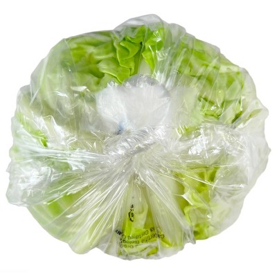 Fresh Organic Green Cabbage - each