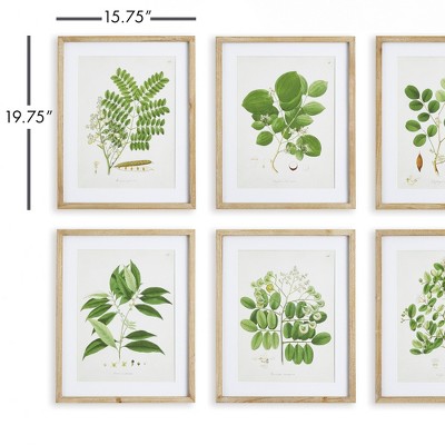 Natural Wood Framed Green Tree Leaf Study Prints, Set of 6