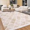 Machine Washable Area Rug Boho Low Pile Rug Geometric Trellis Non Slip Backing Rug Foldable Ultra-Thin Carpet - 3 of 4