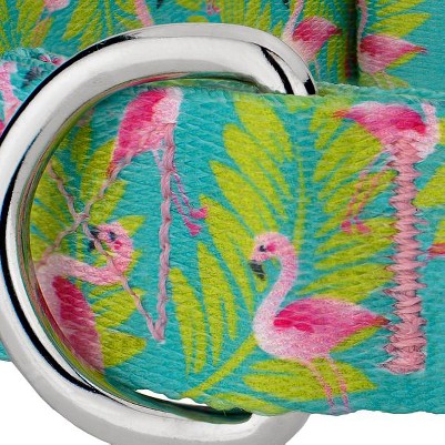 flamingos