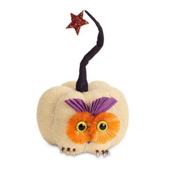Melrose 10" Burlap Owl Pumpkin with Star Autumn Decoration - White/Orange