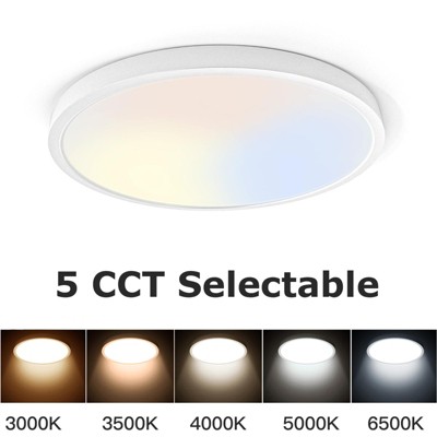 TALOYA 10 Inch LED Flush Mount Ceiling Light White, 5-in-1 CCT Selectable,Ultra-Slim Surface Mounted Lighting Fixture for Basement Porch