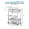 Mojgar Medical Carts with Wheels 2 Tier Mobile Esthetician Cart 330 LBS Load Hospital Trolley Cart for Ultrasound Scanner Utility - 2 of 4
