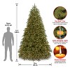 National Tree Company 10 ft. Jersey Fraser Fir Medium Tree with Dual Color® LED Lights - 4 of 4