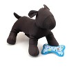 The Worthy Dog Tough Birthday Boy Bone Dog Toy - 2 of 3
