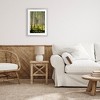 Stupell Industries Small And Tall Birch Forest Framed Print Under Glass - 3 of 4