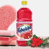 Fabuloso Winter Berries All-Purpose Cleaners Liquid- 33.8oz - 2 of 4