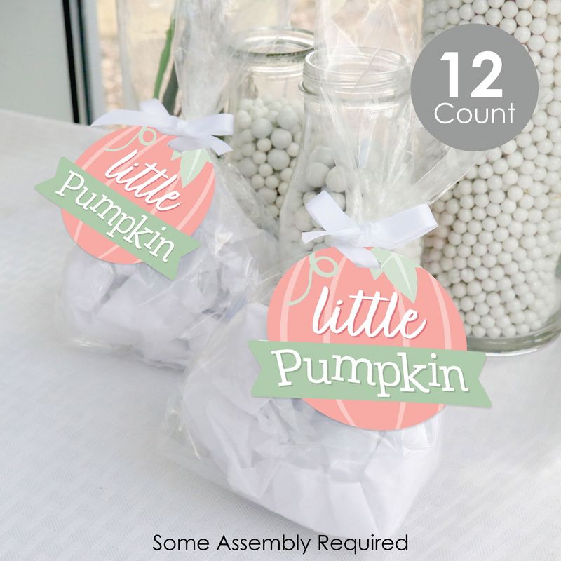 Big Dot of Happiness Girl Little Pumpkin - Fall Birthday Party or Baby Shower Clear Goodie Favor Bags - Treat Bags With Tags - Set of 12, 2 of 9