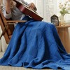 Chenille Knit Throw Blanket ，Soft Checkered Texture for Sofa, Bed, and Living Room-Amelie Home - 3 of 4