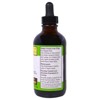 Whole World Botanicals Royal Chanca Piedra, Liver-Gall Bladder Support, 4 oz (118 ml) - 3 of 3