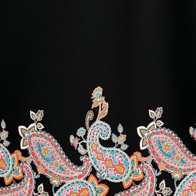 black paisley border