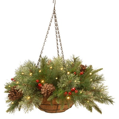 National Tree Company Christmas 20 Inch Colonial Hanging Basket Plant w/ Battery Operated Warm Lights, Red Berries, & Pine Cones