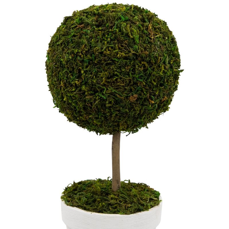 Northlight Reindeer Moss Ball  Artificial Potted Topiary Tree - 16" - Green, 5 of 7