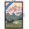 Trends International Lantern Press - Grand Teton Moose & Mountains Framed Wall Poster Prints - 3 of 4