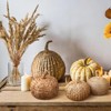 BRINJOY Three-Piece Woven Cattail Pumpkin Set - Handmade Fall Thanksgiving, Halloween Decorations, Rustic Farmhouse Table Centerpiece - 3 of 4