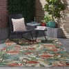 Waverly SND75 Flamingo Indoor/Outdoor Area Rug - 3 of 4