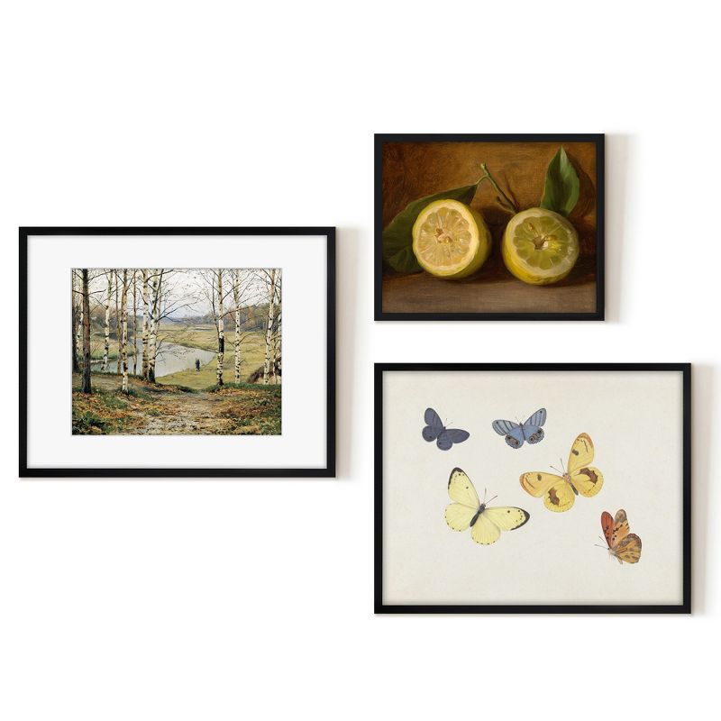 Americanflat 3 Piece Vintage Gallery Wall Art Set - Butterflies I, Birch Tree Landscape, Lemon Still by Maple + Oak, 1 of 6