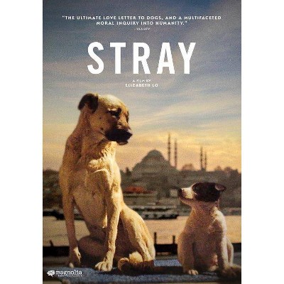 Stray (DVD)(2021)