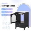 MOEPISY 20 inch Bathroom Vanity with Sink, Bathroom Cabinet with Soft Closing Glass Door - 3 of 4