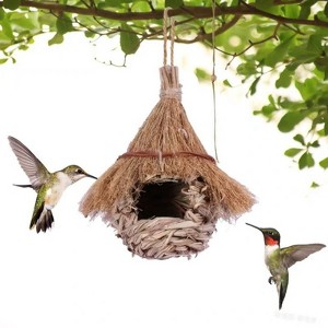 ZACHVO Handcrafted Natural Grass Bird Nest - Perfect for Small Birds - 1 of 4