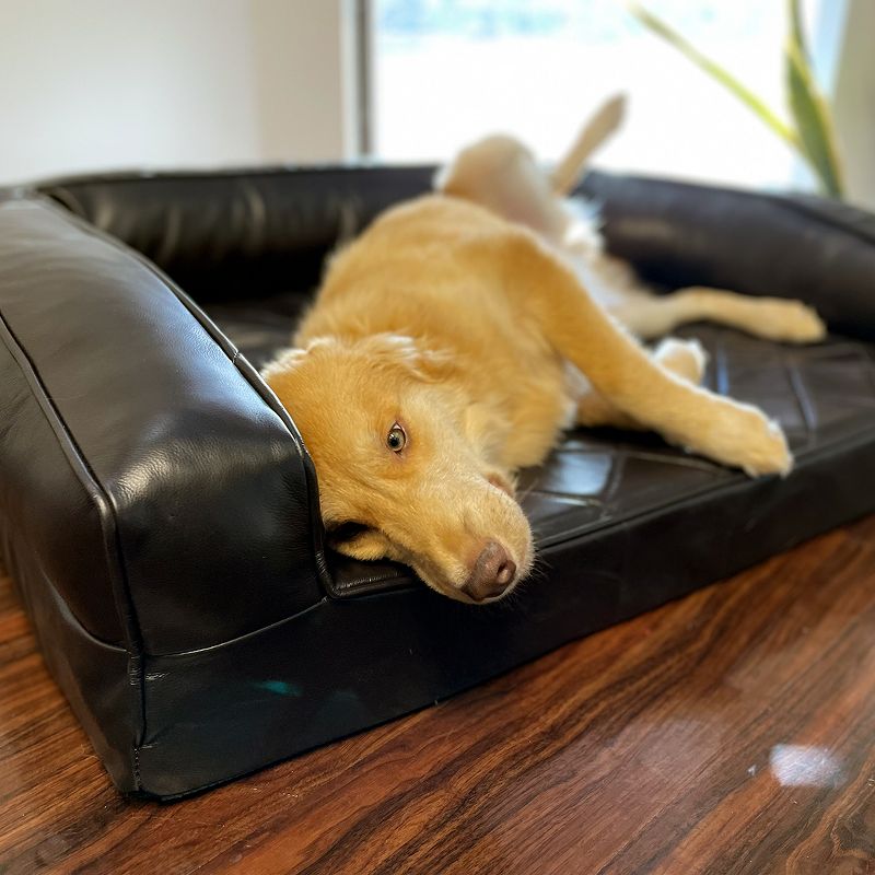 BuddyRest Grand Supreme Premium Leather Memory Foam Dog Bed, 2 of 6