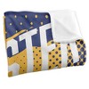 Webster University Fan Zone Silky Touch Super Soft Throw Blanket 50x60 - 3 of 4
