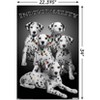 Trends International Keith Kimberlin - Dalmatian Puppies with Colored Spots Unframed Wall Poster Prints - 3 of 4