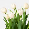 Mother's Day 6" Potted Tulip - Good Little Garden™ - 3 of 3