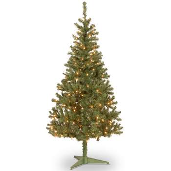 National Tree Company 6 ft Pre-Lit Artificial Full Christmas Tree, Green, Canadian Fir Grande, White Lights, Includes Stand