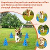 PVC Dog Agility Training Equipment Set - Stackable Cones & Hurdles, Easy Setup Versatile Tools for Speed & Fitness - 3 of 4