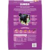 IAMS Healthy Aging Chicken Flavor Large Breed Senior Dry Dog Food - 2 of 4
